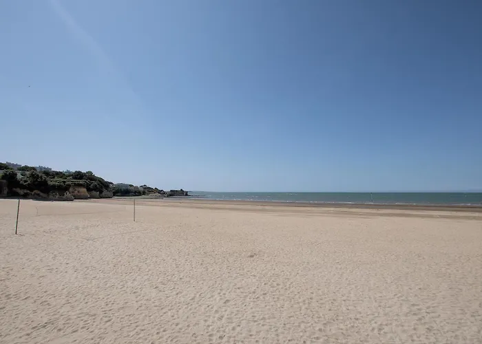 Fripouille - A 100 M De La *